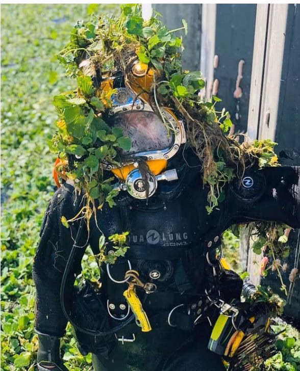 Harmful Invasive Weed Removal